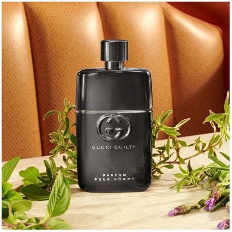 parfum pour homme gucci guilty|gucci guilty parfum fragrantica.